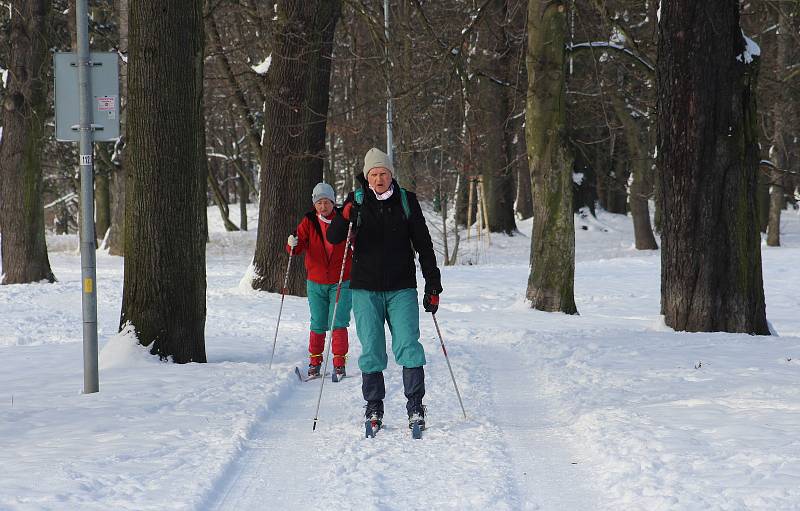 Přívaly sněhu a silný mráz v půli ledna připravila na mnohých místech romantickou zimní podívanou. V Zámeckém parku v Karviné se objevili i lidé na běžkách.