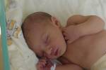Adélka Radovičová se narodila 3. března paní Nikole Kusové z Karviné. Po porodu dítě vážilo 2880 g a měřilo 48 cm.