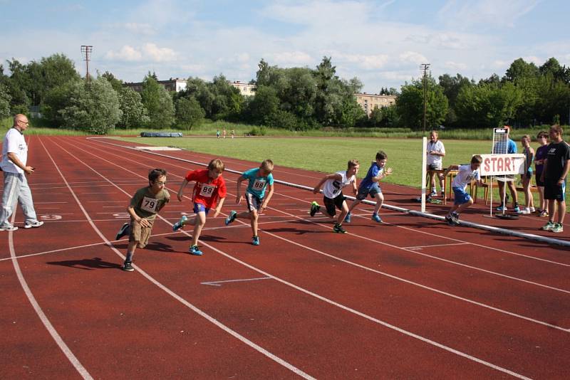 Běh Havířova 2015.  