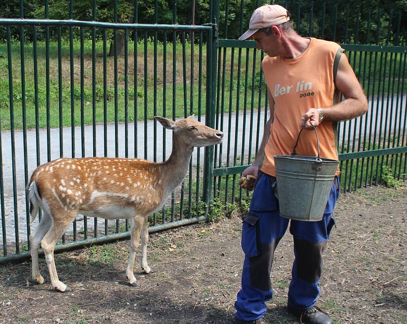 Karvinský zoo koutek v parku Boženy Němcové je nyní plný mláďat, na některá si ale návštěvníci musí počkat, protože je jim zatím lépe ve vnitřních ubikacích.