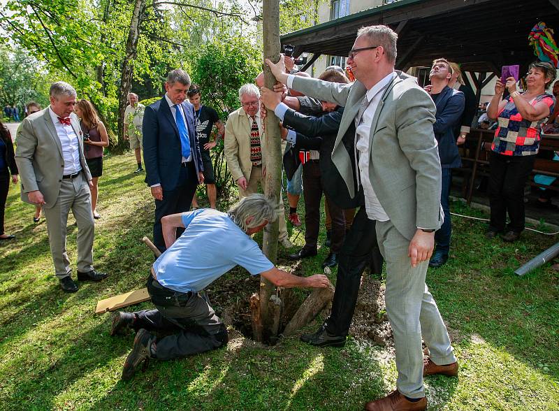 Vládní návštěva v Moravskoslezském kraji, 25. dubna 2018, Domov Březiny v Petřvaldu. Premiér Andrej Babiš s hejtmanem Ivo Vondrákem pomohli také se stavěním májky.