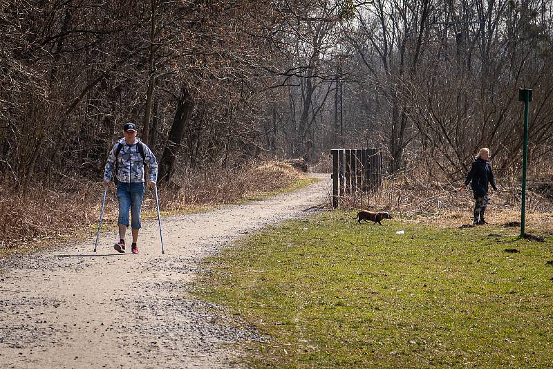 Meandry Lučiny v Havířově.