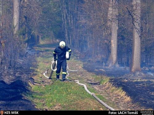 Požár, který vypukl v pátek odpoledne v Pežgovském lese, mezi Havířovem a Petřvaldem, se hasičům podařilo kolem sedmnácté hodiny dostat pod kontrolu.