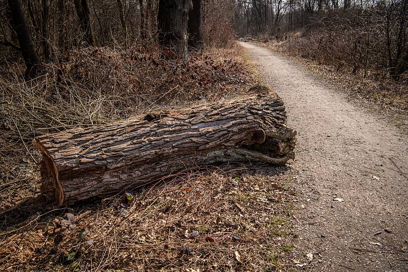 Meandry Lučiny v Havířově.