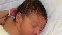 Eliška Šuleková se narodila 17. února paní Nikol Brejové z Petrovic. Po porodu miminko vážilo 2570 g a měřilo 45 cm.