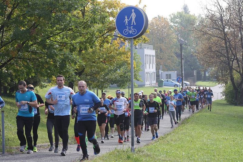 Havířovská desítka 2016 - běh na 10 kilometrů. 