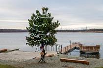Loňský strom u Karvinského moře.