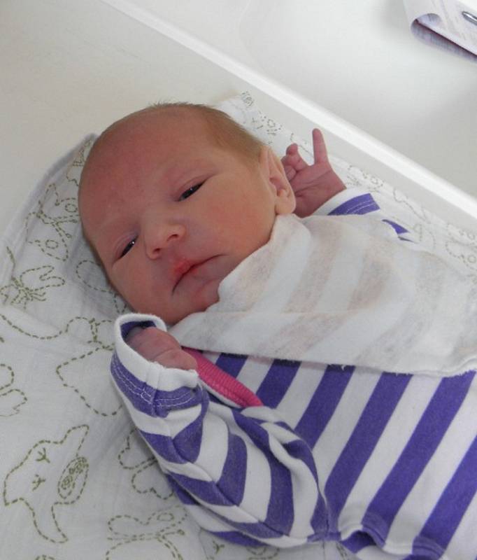 Petra Poledníková se narodila 15. února paní Janě Poledníkové z Dětmarovic. Po porodu dítě vážilo 2920 g a měřilo 48 cm.