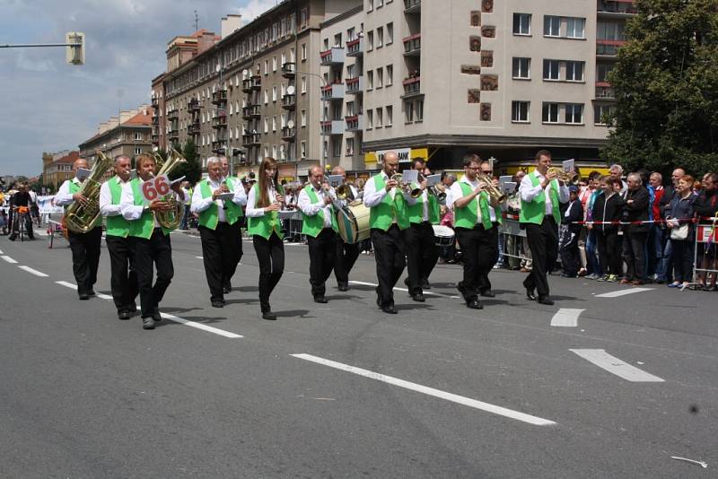 Havířov v květech. 