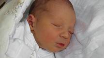 Ondrášek Kubatko se narodil 30. září paní Alexandře Koppové z Dětmarovic. Porodní váha miminka byla 3240 g a míra 48 cm.