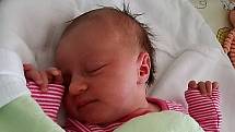 Mamince Vendule Kubicové se v pondělí 27. dubna narodila dcera Vanessa. Po narození vážila 2820 g a měřila 48 cm.