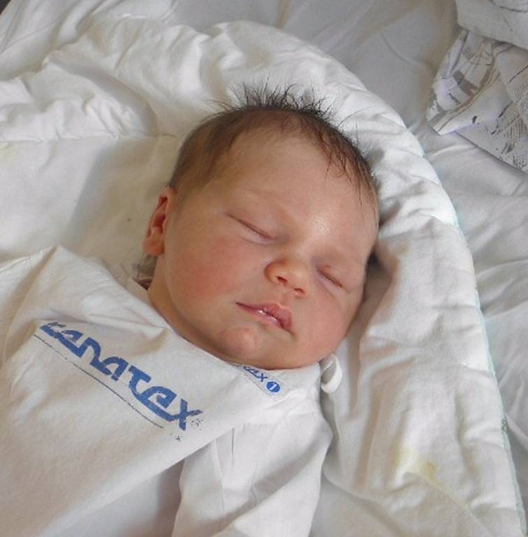 Aleksandra Wilk se narodila 28. srpna mamince Graźyně Wilk z Karviné. Po narození holčička vážila 3290 g a měřila 48 cm.