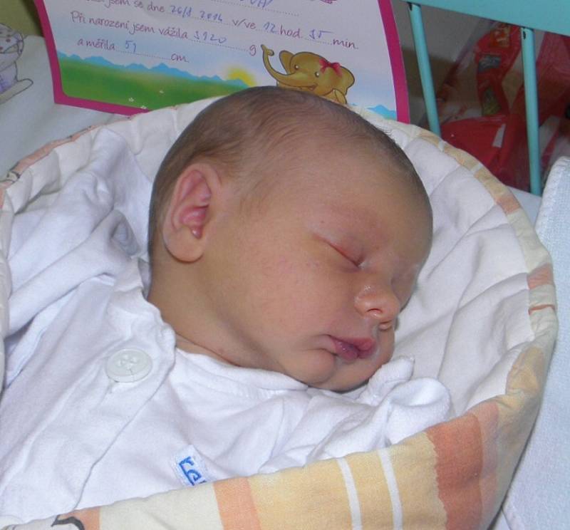 Amálka se narodila 26. srpna paní Martině Šafratové z Dolní Lutyně. Po porodu dítě vážilo 3120 g a měřilo 51 cm.