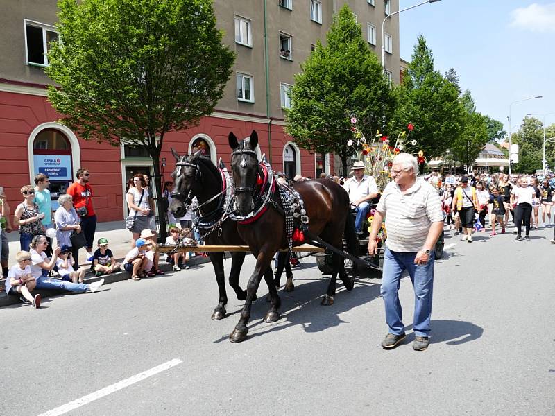 Havířov v květech.