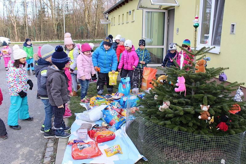 Děti z MŠ Balzacova v Havířově-Podlesí přinesly psům v útulku vánoční dárky.