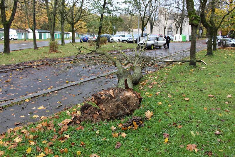 Vyvrácený strom v ulici U Stromovky rozřezali dobrovolní hasiči.