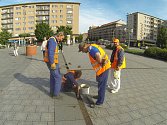 Pracovníci programu Čisté město při úklidu kanalizace na náměstí po bouřce. 