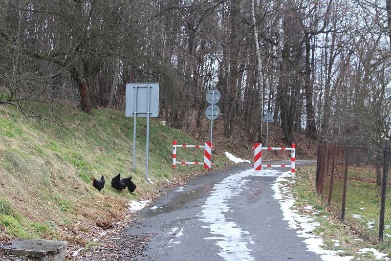 Dolní Marklovice. Hranice mezi Dolními a Horními Marklovicemi.