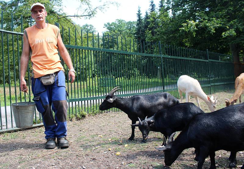 Karvinský zoo koutek v parku Boženy Němcové je nyní plný mláďat, na některá si ale návštěvníci musí počkat, protože je jim zatím lépe ve vnitřních ubikacích.