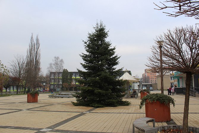 Vánoční strom v Havířově-Podlesí na Terase.