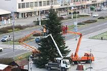 Zdobení vánočního stromu, který je součástí vánočního městečka v centru Havířova. 