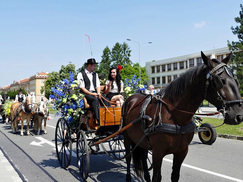 Havířov v květech.