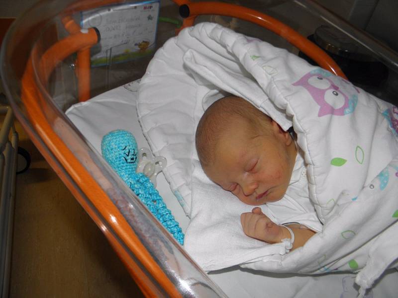 Ondrášek Kawulok se narodil 28. listopadu paní Žanetě Vlasákové z Českého Těšína. Po porodu dítě vážilo 3290 g a měřilo 49 cm.
