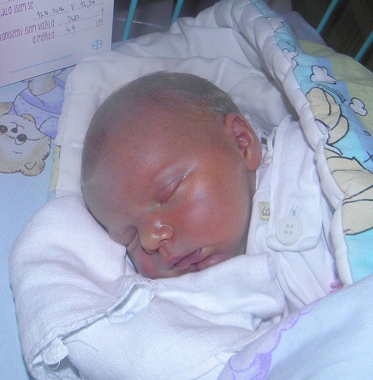 Elen Brazdilová se narodila 12.května paní Nikole Kempné z Karviné. Po porodu holčička vážila 3680 g a měřila 49 cm.