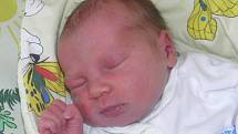 Lucinka se narodila 7. srpna paní Tereze Švajčákové z Orlové. Po porodu miminko vážilo 3080 g a měřilo 48 cm.