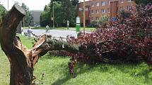 Zlomený strom v havířovské ulici Na Nábřeží. 