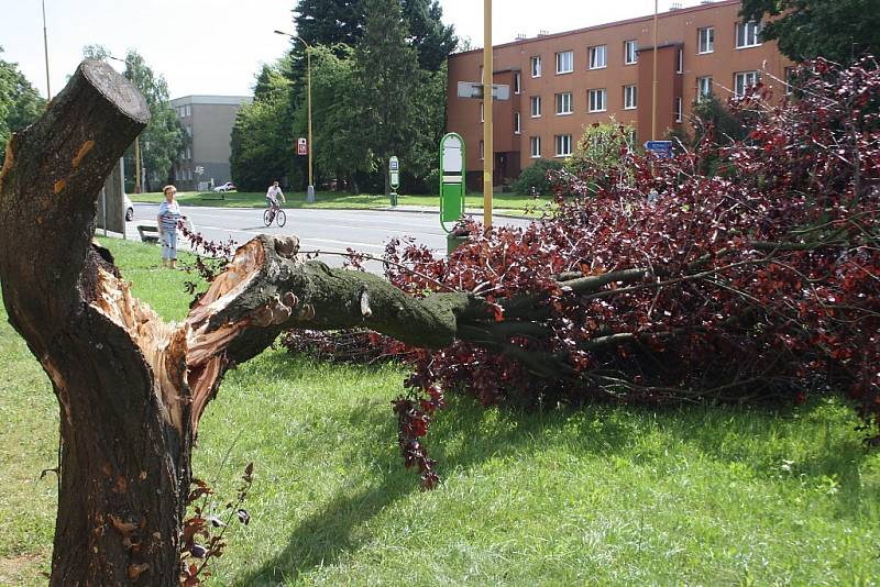 Zlomený strom v havířovské ulici Na Nábřeží. 