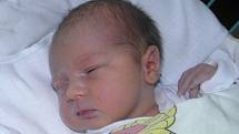 Druhorozená dcerka Dominika Loucká se narodila 1. června mamince Monice Kroczkové z Karviné. Po porodu miminko vážilo 3270 g a měřilo 49 cm.
