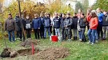 Školáci ze ZŠ Žákovská v Havířově společně s učiteli vysadili pamětní lípu.