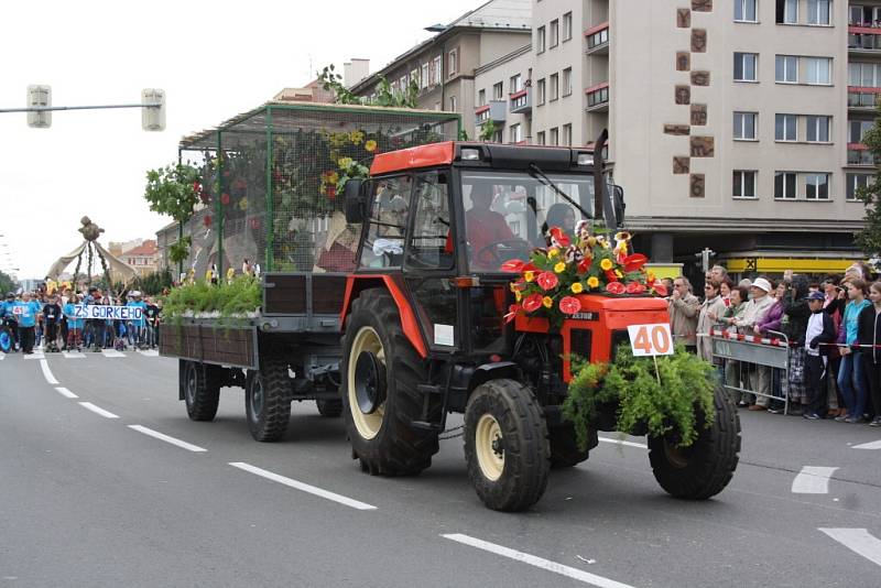 Havířov v květech. 