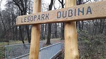 Revitalizace lesoparku Dubina bude na jaře pokračovat.