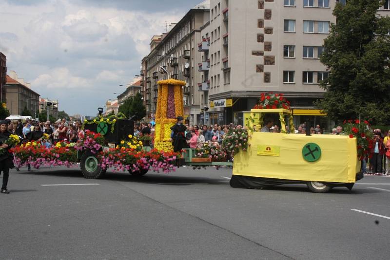 Květinové korzo slavnosti Havířov v květech 2015. 