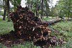 Pondělní noční vichřice převracela stromy také v parku Boženy Němcové. Park je z bezpečnostních d
