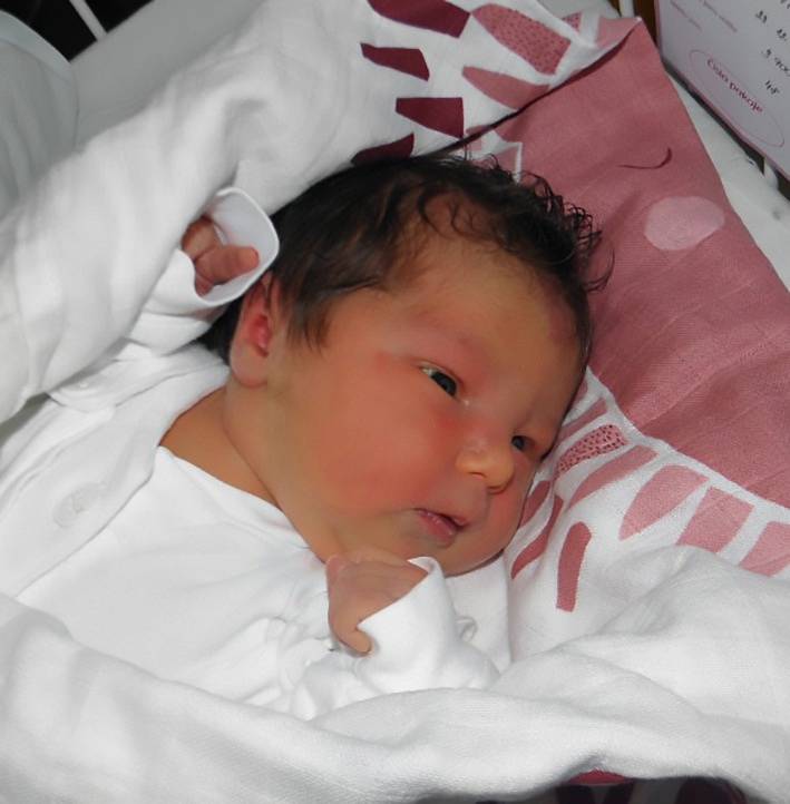 Simonka Poledníková se narodila 23. prosince paní Darině Poledníkové z Chotěbuze. Porodní váha holčičky byla 3900 g a míra 48 cm.