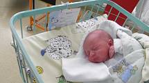 Mamince Andree Lasotě z Českého Těšína se 2. října narodil syn Mikolaj Lasota. Po porodu chlapeček vážil 3470 g a měřil 51 cm.