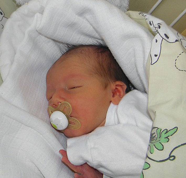 Adámek se narodil 17. listopadu paní Adéle Gajdošíkové z Karviné. Porodní váha chlapečka byla 3210 g a míra 51 cm.