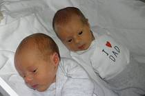 Dvojčátka Maxmilián a Alexandr se narodila 16. ledna paní Evě Klepkové z Karviné. Po porodu Maxmilián vážil 2550 g a měřil 46 cm, jeho bráška Alexandr vážil 2960 g a měřil 49 cm.