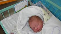 Davidek se narodil 10. května mamince Zuzaně Kokoškové z Karviné. Po narození dítě vážilo 3120 g a měřilo 46 cm.
