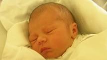 Sebastian Sojka se narodil 21. listopadu paní Zuzaně Witoszkové z Petrovic. Porodní váha miminka byla 3310 g a míra 49 cm.