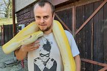 David Porwolik má jako koníčka chov exotických hadů.