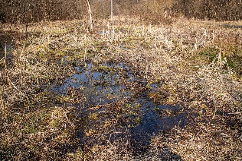 Meandry Lučiny v Havířově.