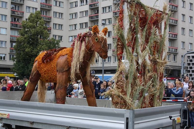 Havířov v květech. 