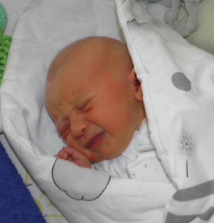 Tomášek Komárek se narodil 28. září paní Sáře Gelnarové z Orlové. Po porodu miminko vážilo 3570 g a měřilo 50 cm.