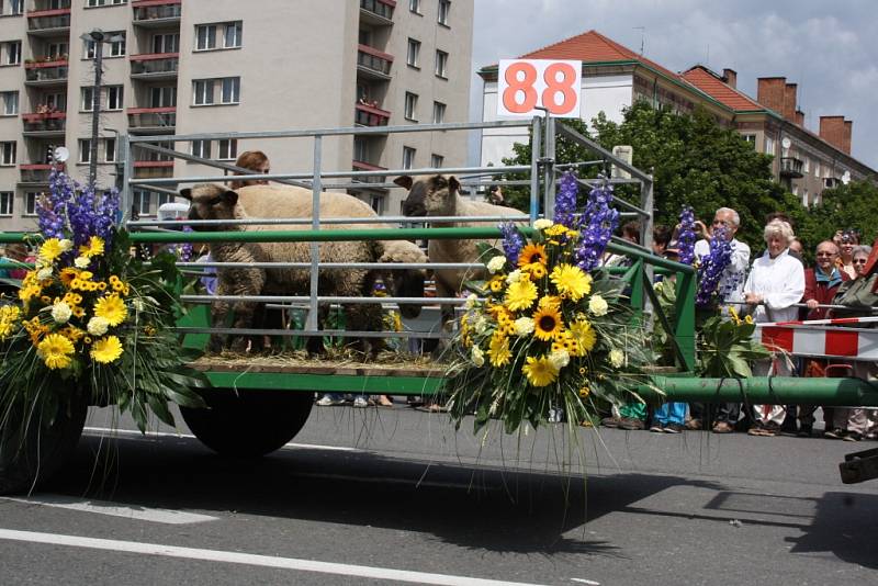 Havířov v květech. 