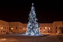 Vánoční strom na Masarykově náměstí v Karviné. Vítěz ankety Deníku O nejkrásnější vánoční strom.