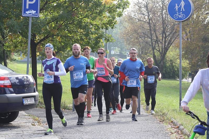 Havířovská desítka 2016 - běh na 10 kilometrů. 